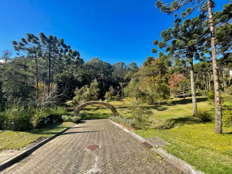 imagem 4 - Terreno à venda com 1.068,58 m² no Condomínio Reserva Figueiredo em Campos do Jordão/SP. imagem 4 - Terreno à venda com 1.068,58 m² no Condomínio Reserva Figueiredo em Campos do Jordão/SP.