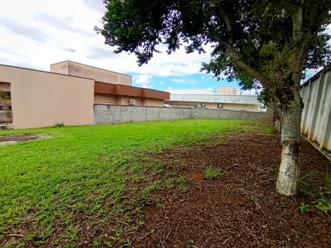 imagem 5 - Terreno à venda com 555 m² no Condomínio Terrazzo Di Itália em Taubaté/SP. imagem 5 - Terreno à venda com 555 m² no Condomínio Terrazzo Di Itália em Taubaté/SP.