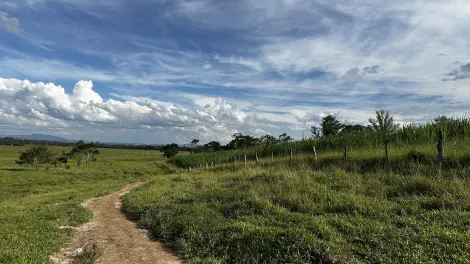 imagem 1 - Fazenda à venda com 98,603 hectares no bairro Triângulo em Pindamonhangaba/SP. imagem 1 - Fazenda à venda com 98,603 hectares no bairro Triângulo em Pindamonhangaba/SP.