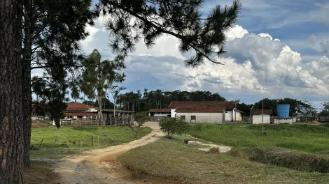 imagem 4 - Fazenda à venda com 98,603 hectares no bairro Triângulo em Pindamonhangaba/SP. imagem 4 - Fazenda à venda com 98,603 hectares no bairro Triângulo em Pindamonhangaba/SP.