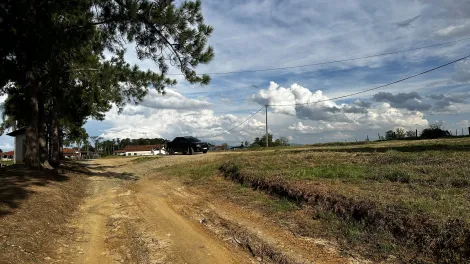imagem 3 - Fazenda à venda com 98,603 hectares no bairro Triângulo em Pindamonhangaba/SP. imagem 3 - Fazenda à venda com 98,603 hectares no bairro Triângulo em Pindamonhangaba/SP.