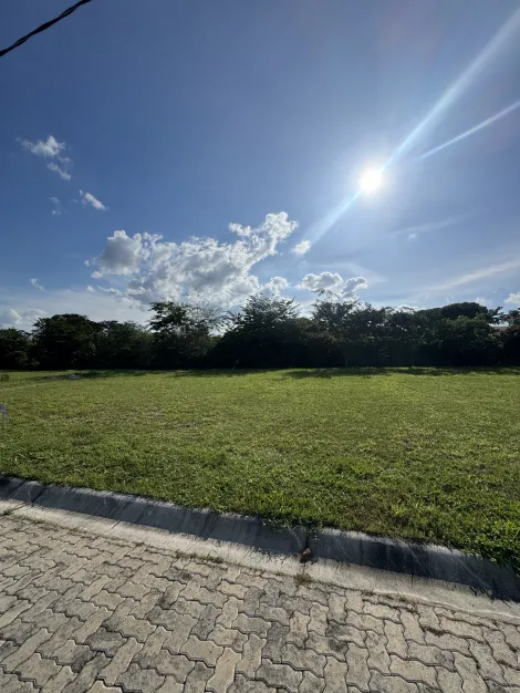 imagem 4 - Terreno à venda com 250 m² no Condomínio Jardim Secreto em Tremembé/SP imagem 4 - Terreno à venda com 250 m² no Condomínio Jardim Secreto em Tremembé/SP